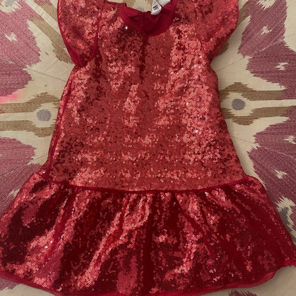 H & M Sequin Dress